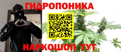 дживик Славгород