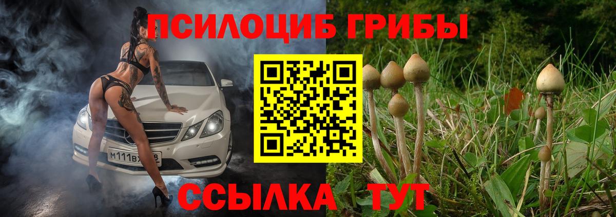 Псилоцибиновые грибы ЛСД Артём