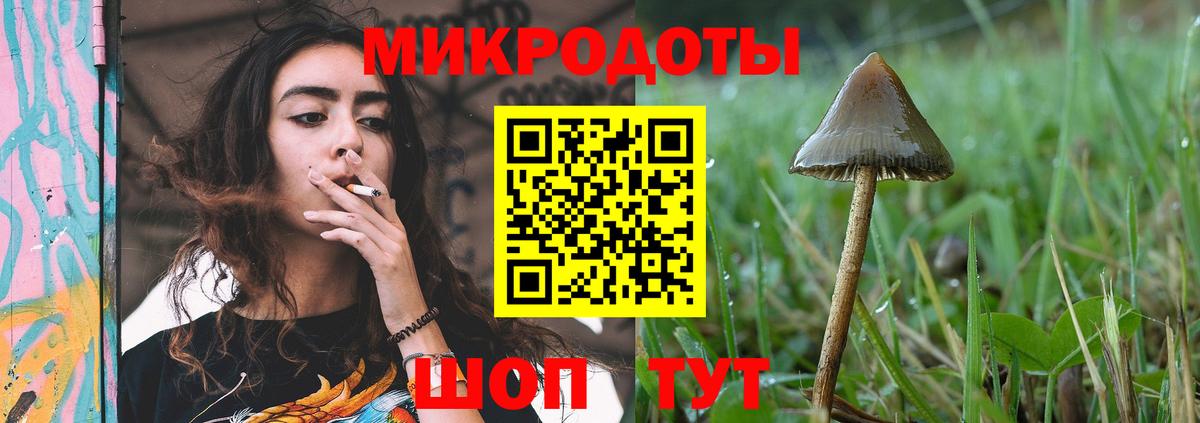Артём  Галлюциногенные грибы Cubensis  Вход с VPN 